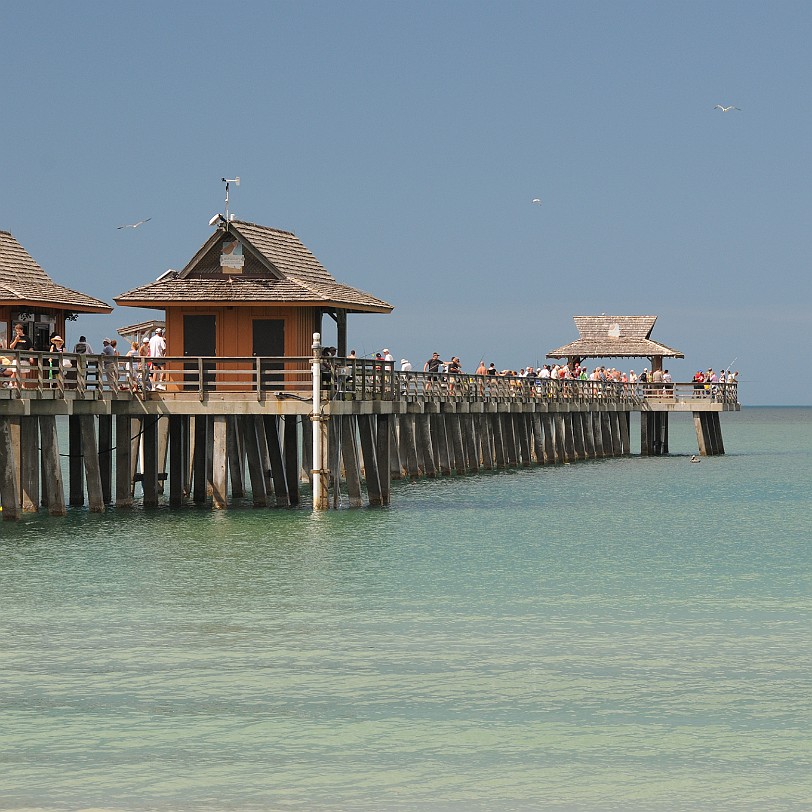 DSC_8287 Naples, Pier & Beach, Golf von Mexico, Florida, USA